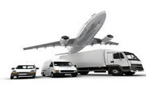 Captura de pantalla 2025-03-14 081821